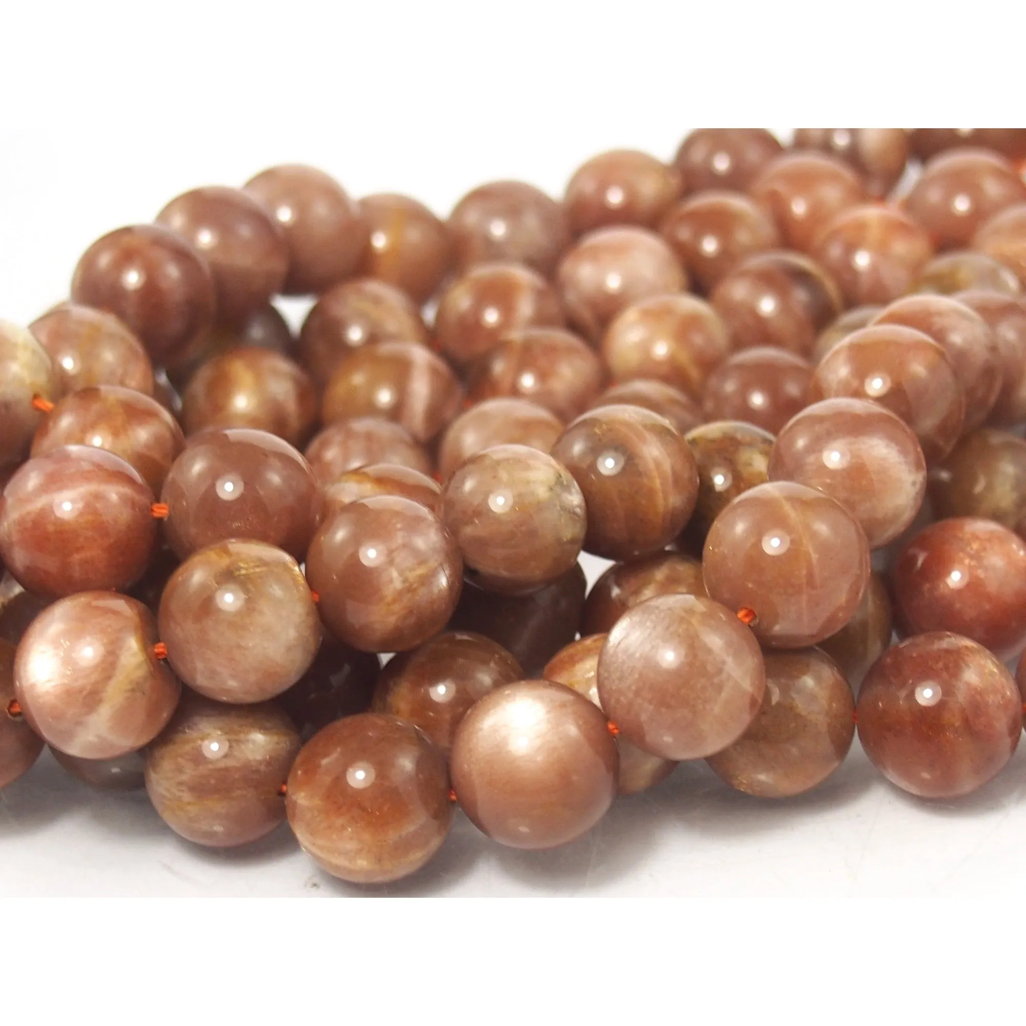 Golden Moonstone 13mm Round Strand
